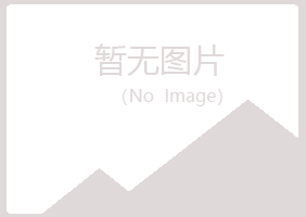 吴川夏岚邮政有限公司